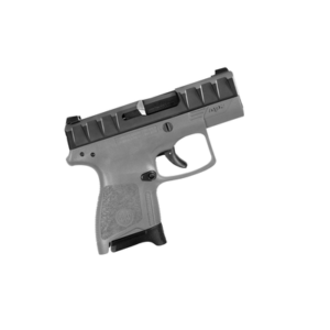 Beretta APX Carry Wolf Grey
